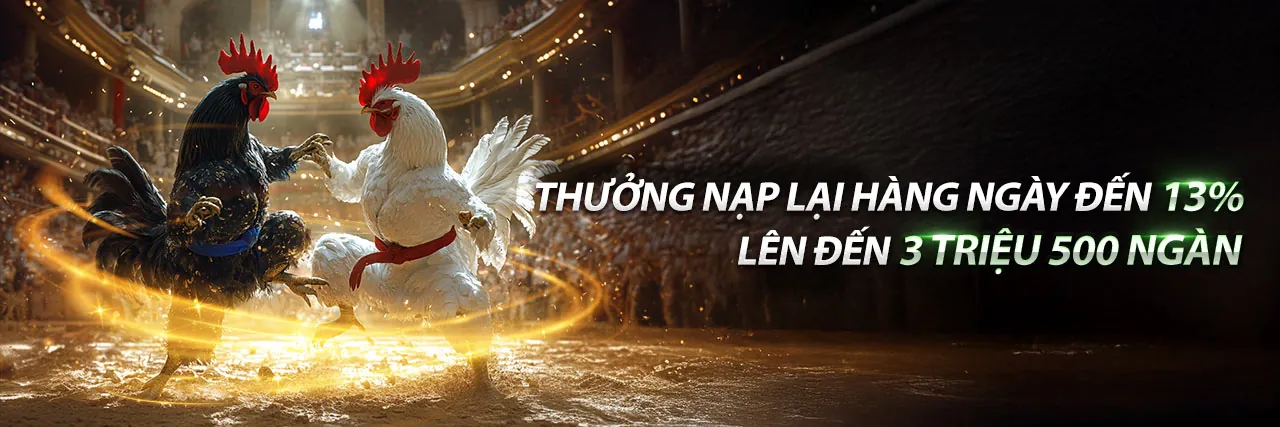 Sòng bạc trực tuyến MCW APK với người chia bài thật